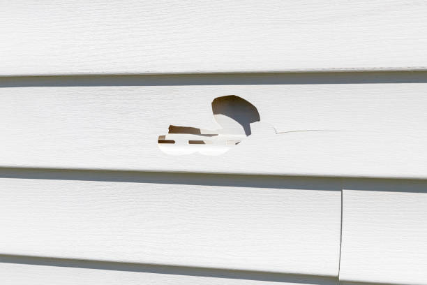 Greenville, KY Junk Removal Company
